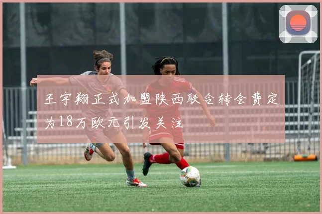 王宇翔正式加盟陕西联合转会费定为18万欧元引发关注